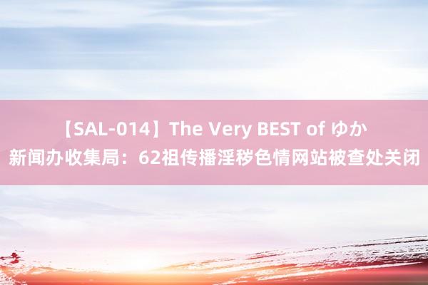 【SAL-014】The Very BEST of ゆか 新闻办收集局：62祖传播淫秽色情网站被查处关闭