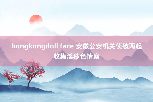 hongkongdoll face 安徽公安机关侦破两起收集淫秽色情案