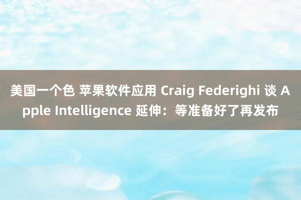 美国一个色 苹果软件应用 Craig Federighi 谈 Apple Intelligence 延伸：等准备好了再发布