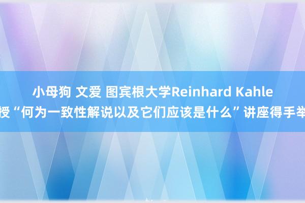 小母狗 文爱 图宾根大学Reinhard Kahle教授“何为一致性解说以及它们应该是什么”讲座得手举办