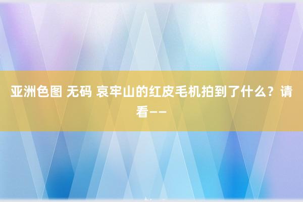 亚洲色图 无码 哀牢山的红皮毛机拍到了什么？请看——