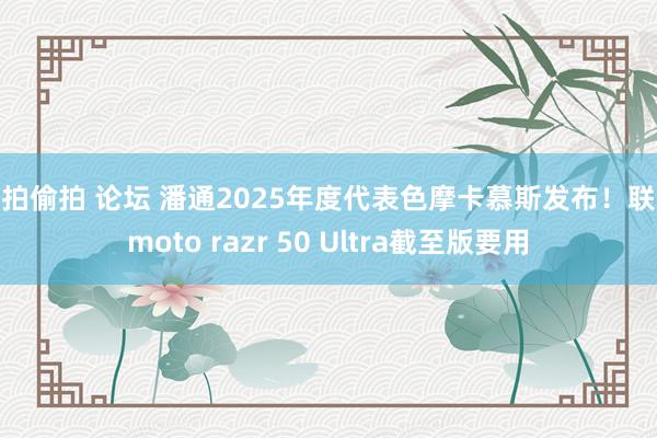 自拍偷拍 论坛 潘通2025年度代表色摩卡慕斯发布！联思moto razr 50 Ultra截至版要用