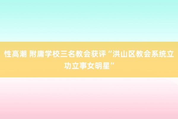 性高潮 附庸学校三名教会获评“洪山区教会系统立功立事女明星”