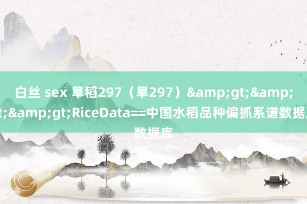 白丝 sex 旱稻297（旱297）&gt;&gt;&gt;RiceData==中国水稻品种偏抓系谱数据库